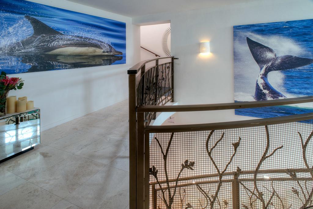 Sea Star Cliff Βίλα Gansbaai Εξωτερικό φωτογραφία